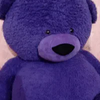 عروسک خرسی بزرگ|اسباببازی|بافت, |دیوار