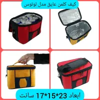 کیف عایق مدل لوتوس همراه یخ خشک