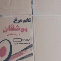کارتن تخم مرغی