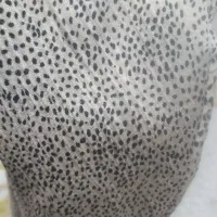 شال نو|لباس|قم, شهرک فاطمیه|دیوار