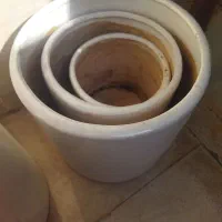 گلدان سرامیکی|گل و گیاه طبیعی|یزد, |دیوار