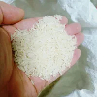 برنج هاشمی اصل درشت|خوردنی و آشامیدنی|رشت, ساغری سازان|دیوار