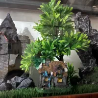 فروش آکواریوم چوبی کاملا نو با وسایل داخلش|ماهی|تهران, قصر فیروزه ۲|دیوار