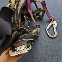 هارنس