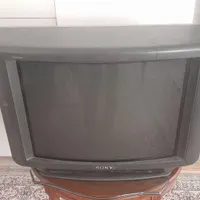 تلوزیون