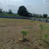 زمین 600 متری شکار بر اصلی توسکستان|فروش زمین و ملک کلنگی|گرگان, |دیوار