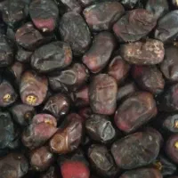 خرما/خرما مضافتی/بم/ریگان/فروش|خوردنی و آشامیدنی|ریگان, |دیوار