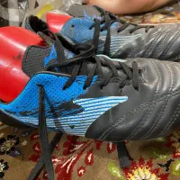 دستکش بوکس|تجهیزات ورزشی|قرچک, مهدیه|دیوار