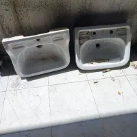 دوعدد روشور باغی