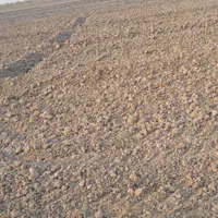 فروش ۲ هکتار مسیر گنبوعه روستایه دهلیز ۲|فروش دفتر صنعتی، کشاورزی، تجاری|حمیدیه, |دیوار