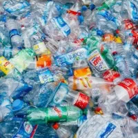 خریدار پت،کارتن،پلاستیک