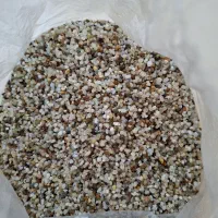 شن عربی آکواریوم