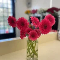 ورکشاپ گلارایی