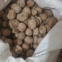 گردو درجه یک ایرانی