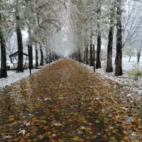 سیم کارت 0912