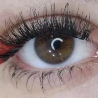 کاشت مژه و اکستنشن مژه با بهترین قیمت و کیفیت|خدمات آرایشگری و زیبایی|فردیس, فردیس|دیوار