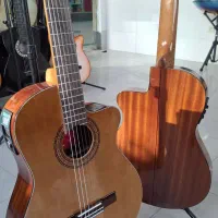 گیتار آموزشی و حرفه ای|گیتار، بیس، امپلیفایر|مشهد, الهیه|دیوار