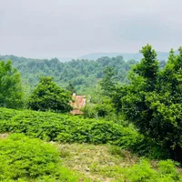 پلاک یک جنگل ویو ارتفاع درجه یک 612 متر تاپ لوکیشن