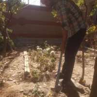 نظافت منزل و اداری و باغ و سایر