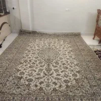 فرش دستباف کرم تمیز نو اردکان|فرش|اصفهان, خواجه عمید|دیوار