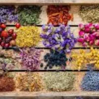 سرمایه گذاری استخدام بسته بندی زعفران .لباس .|استخدام صنعتی، فنی، مهندسی|سقز, |دیوار