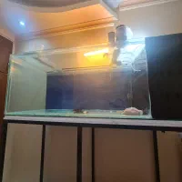 آکواریوم|لوازم جانبی حیوانات|تهران, شهرک صدرا|دیوار