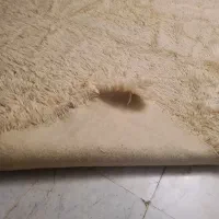 قالیچه پوست طبیعی|فرش|تهران, سازمان برنامه شمالی|دیوار