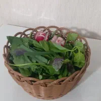 سبد های حصیری|ظروف سرو و پذیرایی|اراک, |دیوار