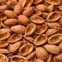 پوست بادام پسته