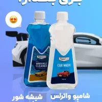 فروش محصولات شوینده و ضدعفونی کننده|مواد شوینده و دستمال کاغذی|تهران, شهرک استقلال|دیوار