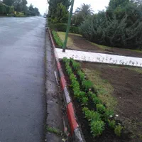 خدمات باغبانی