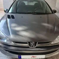 ۲۰۶ اس دی دوگانه شرکتی