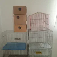 قفس صحیح و سالم