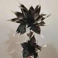 گل مصنوعی|گل مصنوعی|سبزوار, باهنر|دیوار