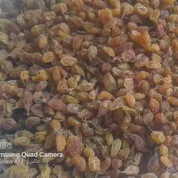 رب خونگی، شیره انگور ،کشمش، آلو ،گلاب و عرقیات|خوردنی و آشامیدنی|نیشابور, دربقاضی|دیوار