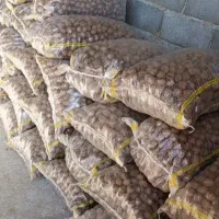 تمیز و ارگانیک|حراج|کرج, شاهین‌ویلا|دیوار