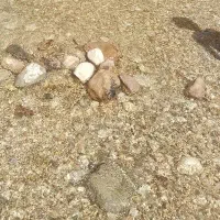 10 دقیقه آب..