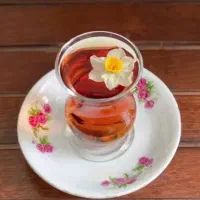 فروش روغنهاودمنوشهای گیاهی