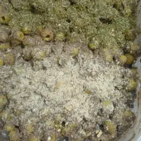 زیتون پرورده|خوردنی و آشامیدنی|رشت, یخسازی|دیوار