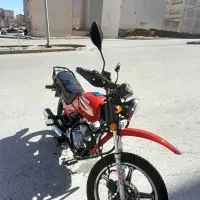 فروش احسان شکاری ۲۰۰