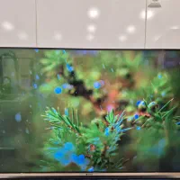 تلوویزیون ۶۵ اینچ رونیا اسنوا