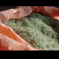 کاه خارشتر|لوازم جانبی حیوانات|گنبد کاووس, |دیوار