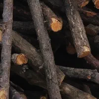 فروشنده چوب