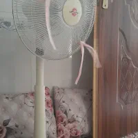 نتکه پایه بلند