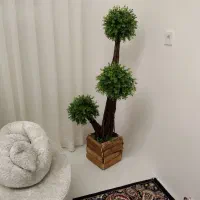 درختچه مصنوعی|گل مصنوعی|بیرجند, |دیوار