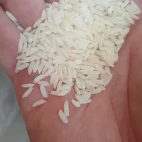 برنج ایرانی،میانه سپیدانه صدرصدتضمینی زیرقیمت بازا|خوردنی و آشامیدنی|تبریز, |دیوار