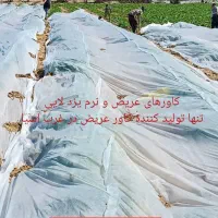 آگهی جدید کاور کشاورزی ضد سرما