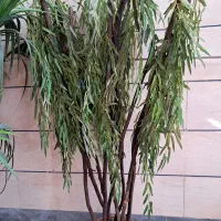 درخچه|گل مصنوعی|اهواز, کوی رمضان|دیوار