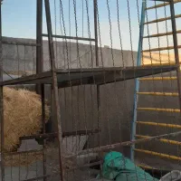 قفس دو طبقه