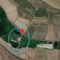 گاوداری 100 راسی(پرواری) خمام-شیجان